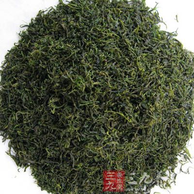 新鲜的侧柏叶、桑叶、苦丁茶、锅、高浓度的白酒、密封容器罐 新鲜的侧柏叶、桑叶、苦丁茶、锅、高浓度的白酒、密封容器罐