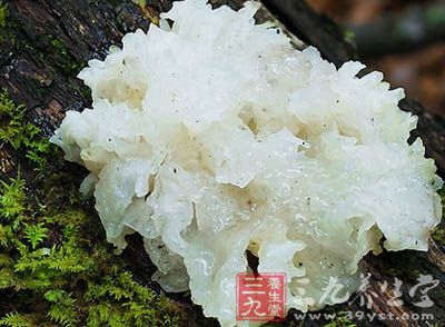 枸杞适量、白木耳2~3朵