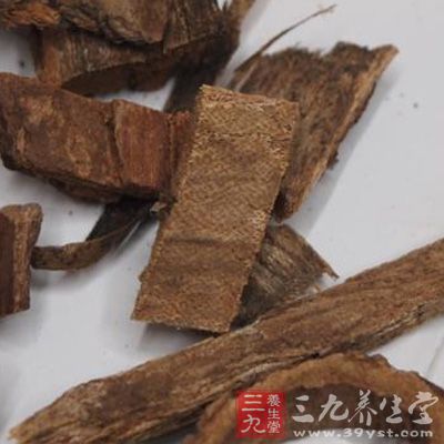 川桐皮
