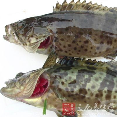 調(diào)料美極鮮、醋、蠔油、醬油和蒸魚豉油放入碗中拌勻