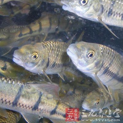 再澆上調(diào)好的魚汁即可