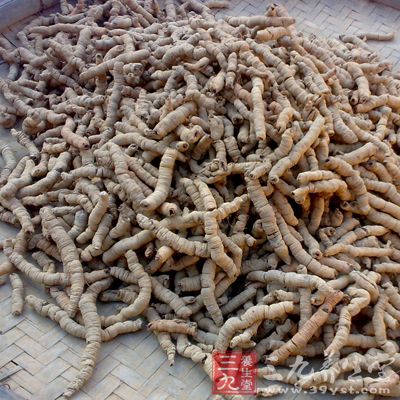 多属于肾阳虚,是可以服用的 多属于肾阳虚,是可以服用的