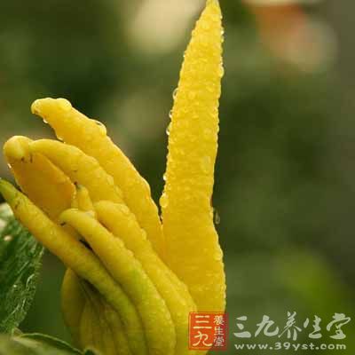 用于调理气机不畅导致的肝郁气滞、肝郁乘土、气滞血瘀、气郁化火等证侯