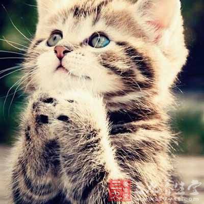 5年之内没有注射过破伤风疫苗的孩子