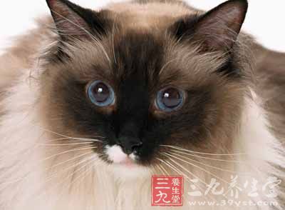 首先，家长不要恐慌，这样可以避免孩子的过分恐惧