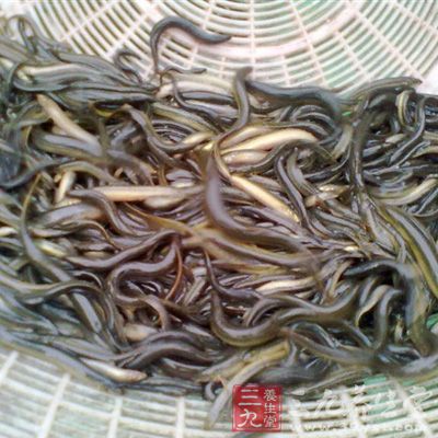 泥鰍可食部分占整個魚體的80%左右，高于一般淡水魚類