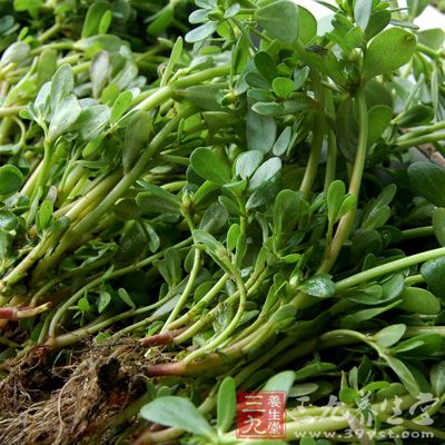 世界十大土豪食物排行榜 第一名竟然是它(4) - 