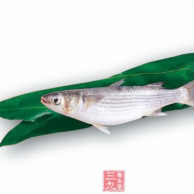 烏魚在中國是一種常見的食用魚==