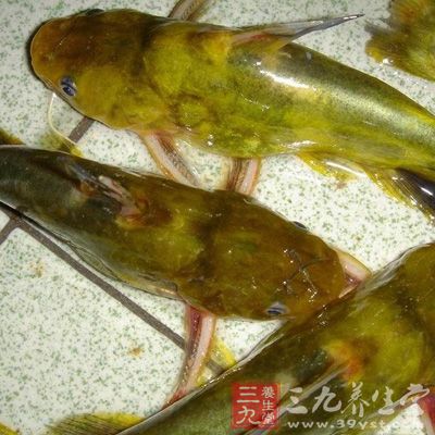 乌鱼肉中含蛋白质、脂肪、18种氨基酸等