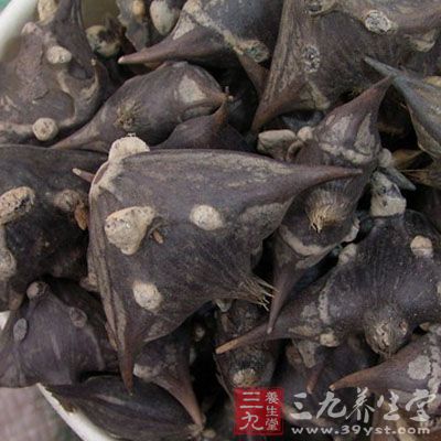 在菱角的底部用菜刀切去一刀,切的见菱肉 在菱角的底部用菜刀切去一刀,切的见菱肉