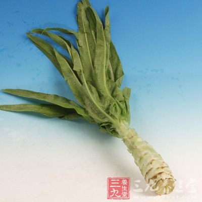 莴笋茎部肥大而脆嫩，味鲜美有香气，其茎叶均可做菜