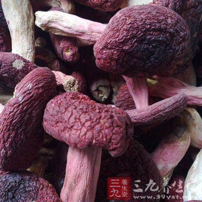 紅菇具有獨特的生長環(huán)境