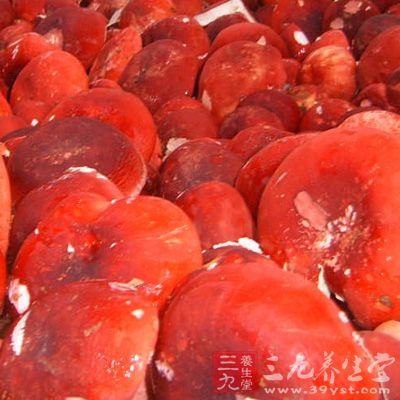 世家紅菇，隸屬于福建省安溪縣榮鳳食品有限公司