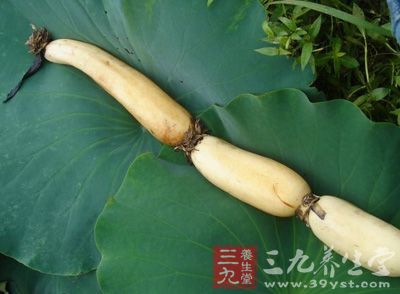 它的根叶、花须果实皆是宝，都可滋补入药