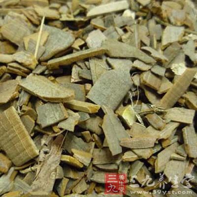 可作绿篱，孤植或群植，经修剪后呈圆球形观赏效果极佳