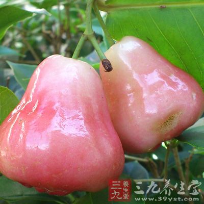 好處6.增強免疫力