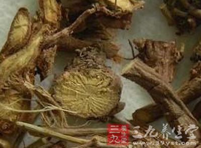麻黄根功效与作用