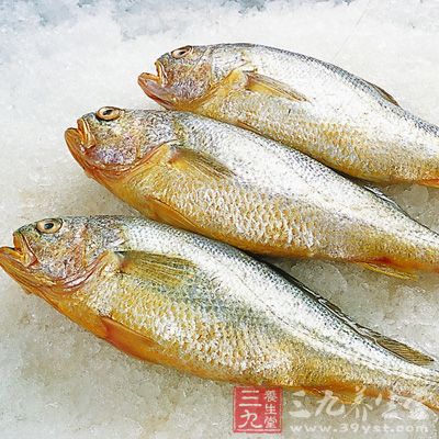 黃花魚是發(fā)物，哮喘病人和過敏體質(zhì)的人應(yīng)慎食