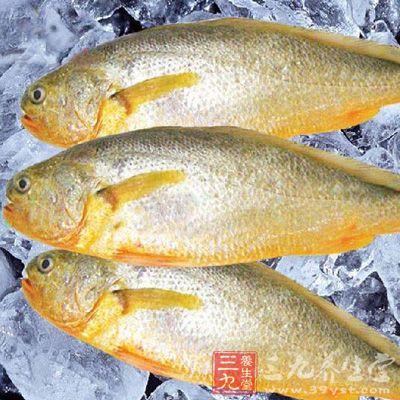 黃魚味甘咸、性平，入肝、腎二經