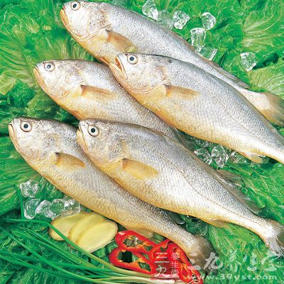 新鮮黃魚如果要儲存，要先去除內(nèi)臟和魚鱗，擦凈水分