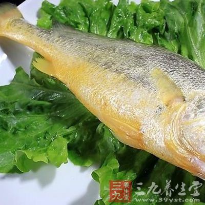 女性能吃黃魚嗎