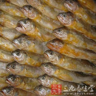 黃花魚能清除人體代謝產(chǎn)生的自由基