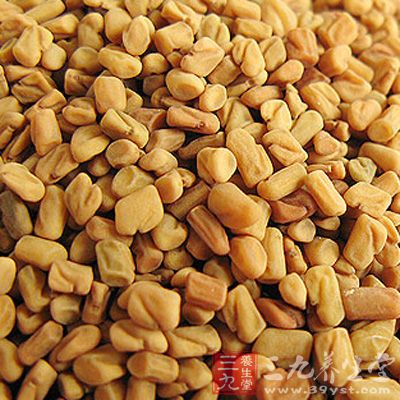 胡芦巴功效与作用_中药百科_养生百科_三九养生堂