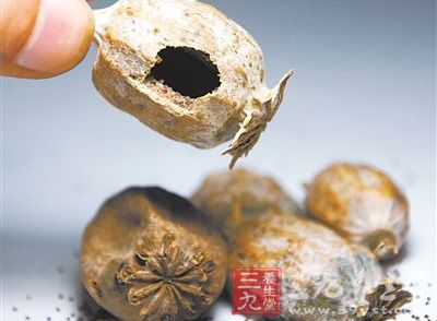 多地火锅调料检出罂粟壳