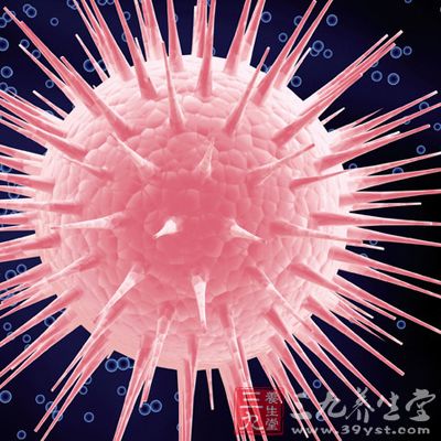 点青霉。烟曲霉。镰刀霉。产黄青霉。黑曲霉及黑根霉等