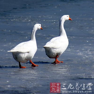 鹅肉味甘平，有补阴益气、暖胃开津、祛风湿防衰老之效