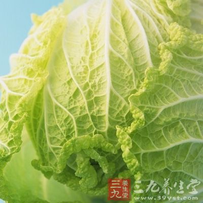 小白菜富含維生素B1、B6、泛酸等