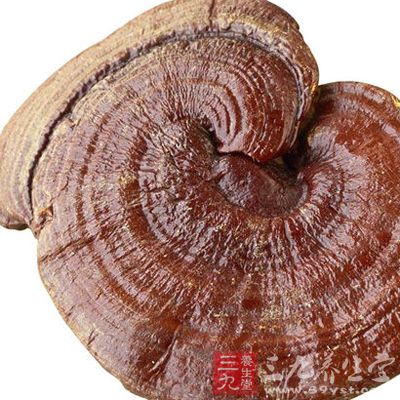 灵芝没有副作用,也从来没有接到过这方面的报告 灵芝没有副作用,也从来没有接到过这方面的报告