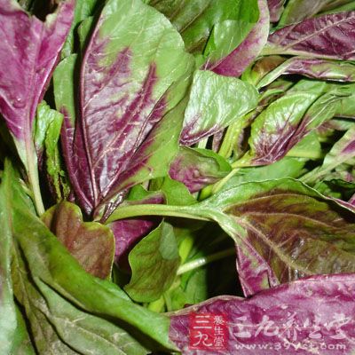 水鱼忌与苋菜、鸡蛋同食