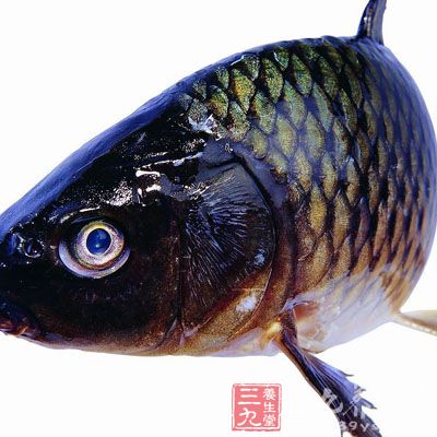 鲫鱼1-2条,糯米30-45克 鲫鱼1-2条,糯米30-45克