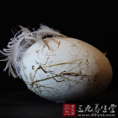 鵝蛋是老年人、兒童、體虛、貧血者的理想營(yíng)養(yǎng)食品