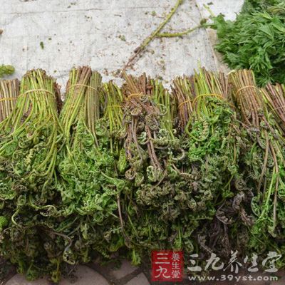 馬齒莧又名馬齒菜、馬齒草、五方草，一般為紅褐色，葉片肥厚，像倒卵形