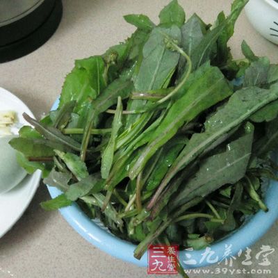 釀南瓜花、做南瓜花餅都是新鮮的吃法