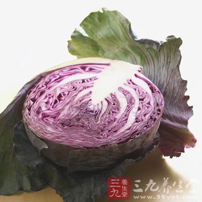 甘藍(lán)菜中含有的大量纖維素，能夠增強(qiáng)胃腸功能