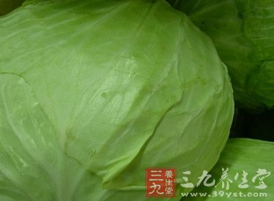 将圆白菜洗净、沥干,切成2厘米宽的长条,再斜刀切成象眼块 将圆白菜洗净、沥干,切成2厘米宽的长条,再斜刀切成象眼块