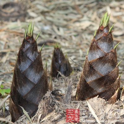 春筍既是蔬菜又是藥材，它可以美容明目、健脾養(yǎng)肝、潤腸補鈣