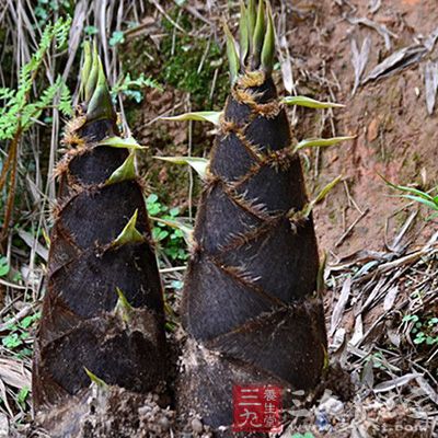 如果竹筍數(shù)量比較多，短期無法食用完，又未剝殼，那可以用埋藏法