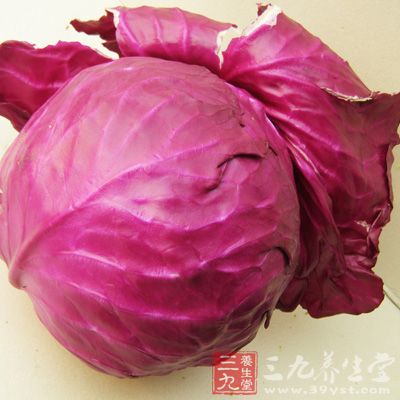 甘藍(lán)菜菜有利于激素分泌，幫助乳房發(fā)育