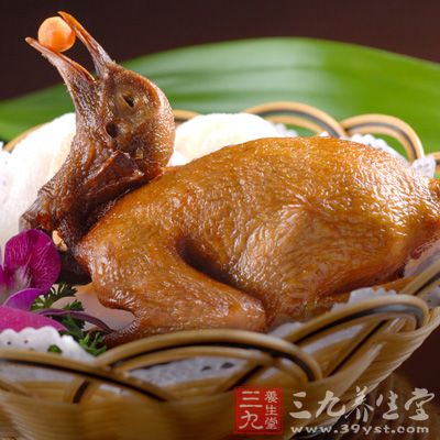 鸽子肉的归经是入肝、肾经