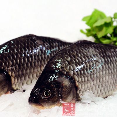 活鯽魚1000克，砂仁、陳皮各10克