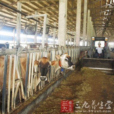 人均乳制品消费量(2)