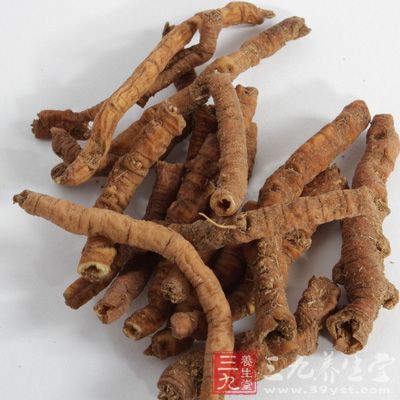 远志根11克，用500毫升水煎至350毫升，主治健忘