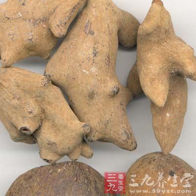 枯矾、黄柏、五倍子、乌贼骨 枯矾、黄柏、五倍子、乌贼骨