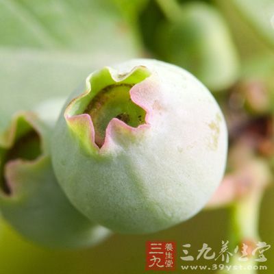 无花果7-10颗， 冰糖看个人口味