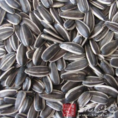 吃一些果实的种子 吃一些果实的种子