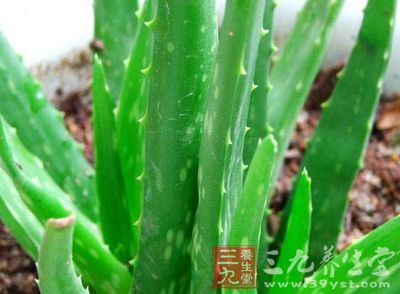 略带沉香气味,味苦,易溶于吡啶